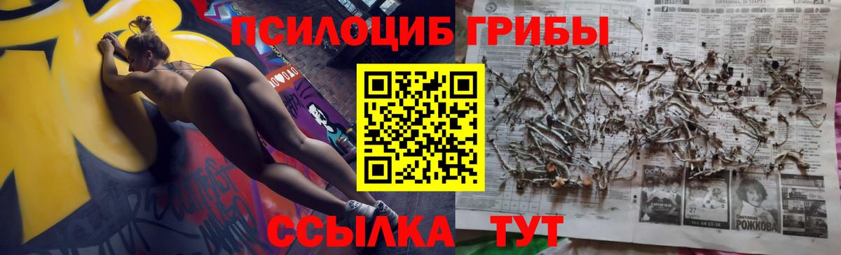 Серпухов  Галлюциногенные грибы мухоморы  Галлюциногенные грибы GOLDEN TEACHER  Вход с VPN 